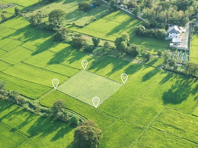 Vytyčení hranic pozemků